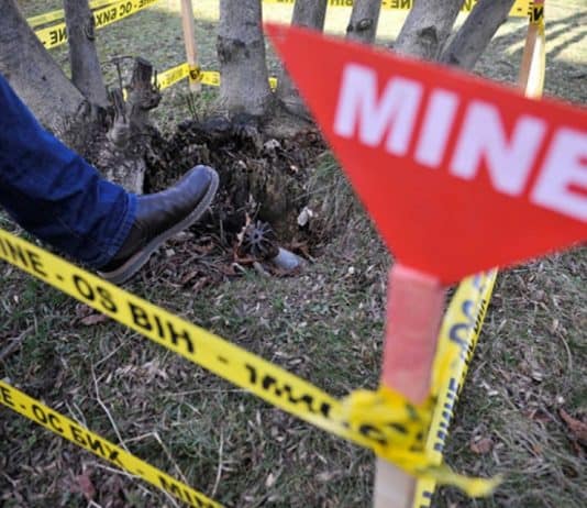 Muškarac prilikom sječe drva u Prozor-Rami stradao od mine