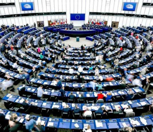 Nužnost očuvanja konstitutivnosti i provedbe presude “Ljubić” u novom izvješću Europskog parlamenta