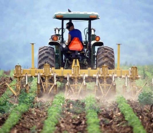 Poljoprivrednici: Vlada FBiH je osigurala rekordan iznos, u 2023. očekujemo 200 miliona KM za podsticaje