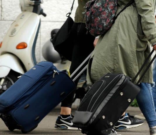 U Mostaru, Čapljini, Ljubuškom, Čitluku, Širokom, Grudama, Kiseljaku i Vitezu više doseljenih nego iseljenih