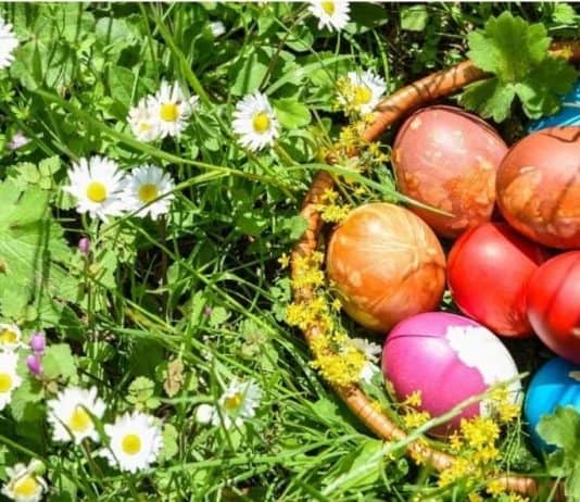 Uskrsna čestitka načelnika općine Jajce Edina Hozana