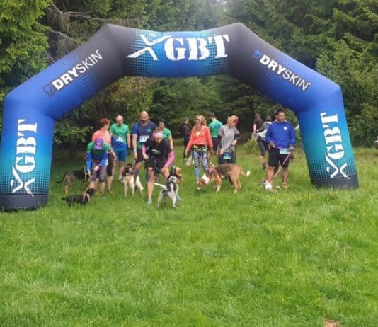 Na Vilenici održana canicross utrka, posvećena je psima iz azila