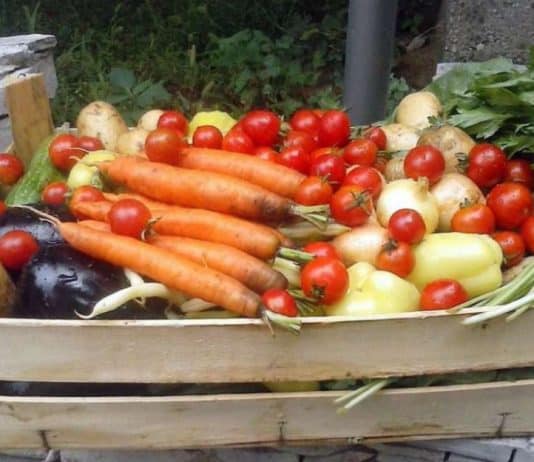 Stigao službeni podatak koliko je hrana u BiH skuplja u odnosu na prošlu godinu