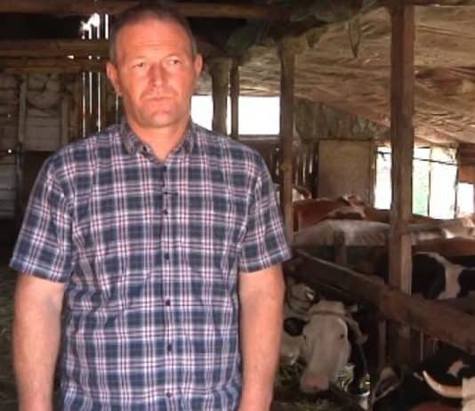 Bh. poljoprivrednik nakon 22 godine gasi domaćinstvo i prodaje sva grla: Ne mogu i neću se više patiti!