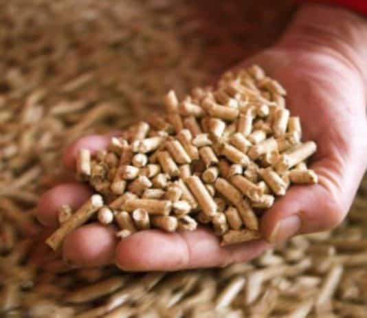 BiH privremeno zabranjuje izvoz ogrjevnog drveta, peleta i šumskih sortimenata