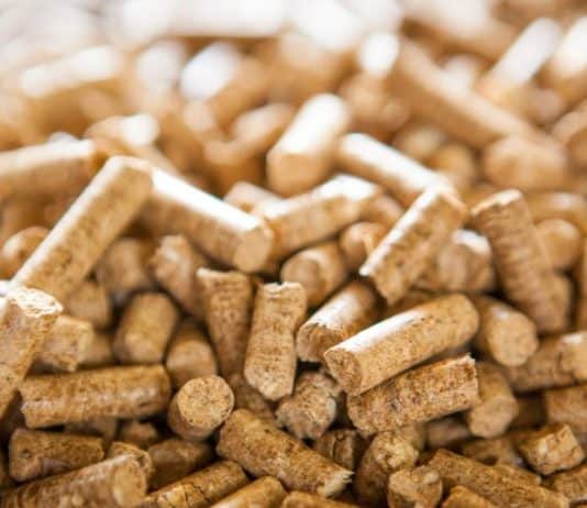 BiH zabranjuje izvoz oblovine, drveta i peleta da bi zaustavila poskupljenja