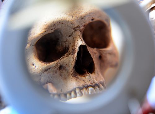 Našao lubanju u vrtu pa se obratio supruzi: “Ne brini, to mi je prvi muž”