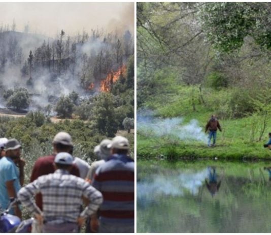 Za loženje vatre i izazivanje požara, kazne i do 12.000 KM