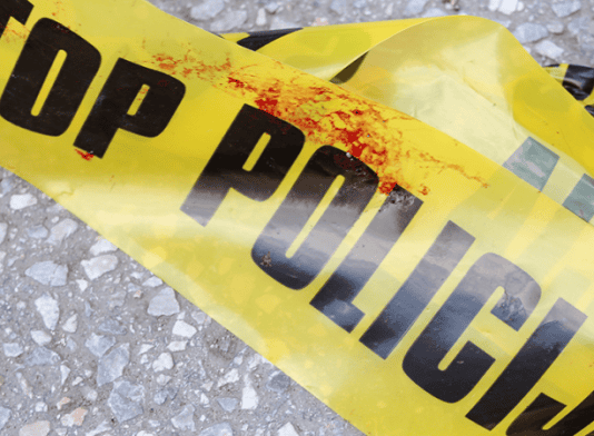 Zločin u BiH: Brat zbog zemlje ubio sestru, ispalio pet hitaca u nju