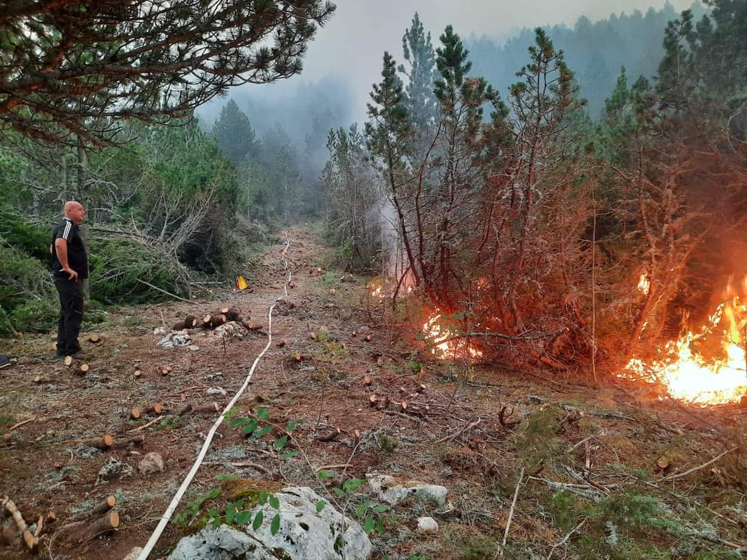 Evo najnovijih informacija što se tiče požara na Čvrsnici, pogledajte veliku fotogaleriju