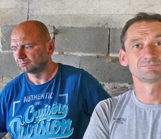 NESTAŠICA VODE U SREDIŠNJOJ BOSNI: Ako voda ne dođe za 3 dana sve će pokrepat od žeđi (VIDEO)