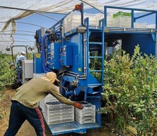 Niko neće u njivu i voćnjake u ovom dijelu BiH: Dnevnica i do 100 KM