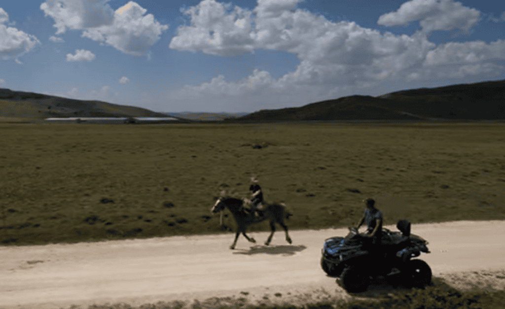 Otac i sin na Kupresu čuvaju 500 krava i 250 teladi, Srećku Stipoviću su otkrili koliko zarađuju