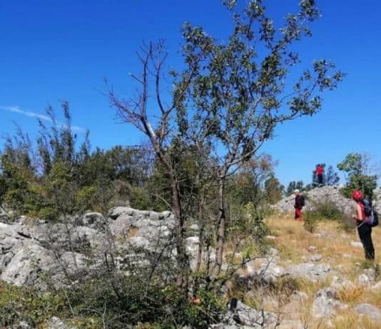 Pripadnici GSS-a pronašli tijelo nestale žene