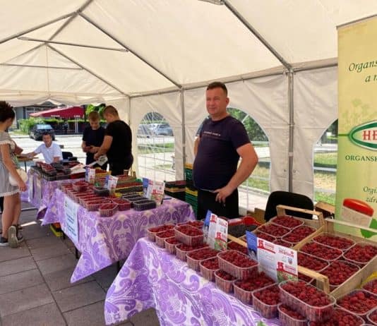 Sutra u Novom Travniku počinju “Dani maline”