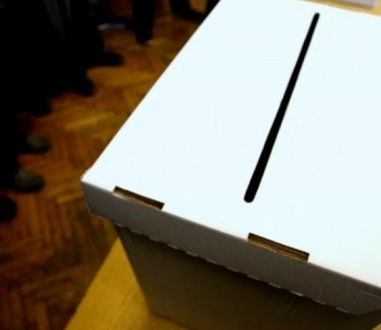 Zbog podmićivanja i utjecaja na birače dobio 6 mjeseci zatvora