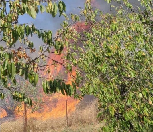 Izbjegnuta tragedija u Bijelom Polju, požar u posljednji trenutak odbijen od kuća
