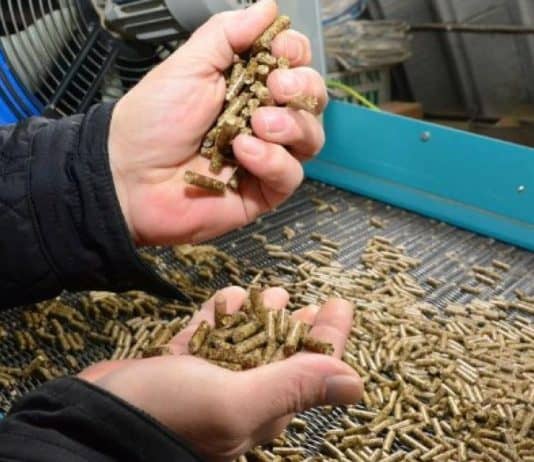 Hoće li tona peleta u BiH biti 1.000 KM, bh. tvrtkama stižu “bezobrazne” ponude iz EU