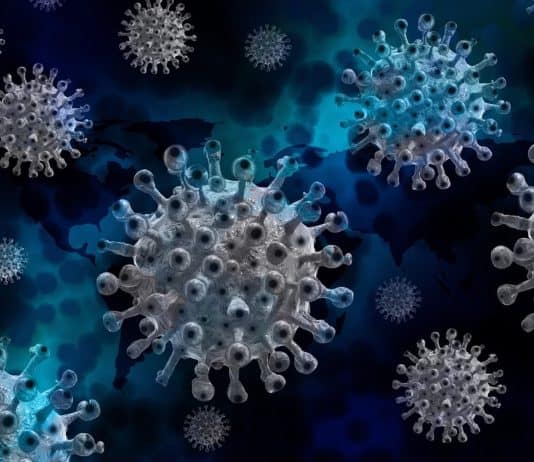 Vrhunac aktuelnog talasa korona virusa očekuje se početkom septembra