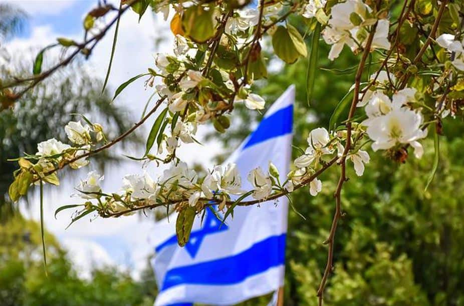 Piše Višnja Starešina: Ulazak Izraela u raspravu o izbornom zakonu u BiH politički je osmišljen čin