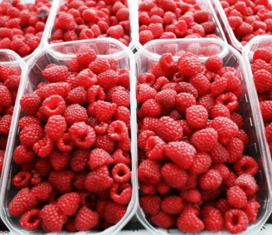 Srednjobosanski malinari prosvjedovali ispred poduzeća Natural food