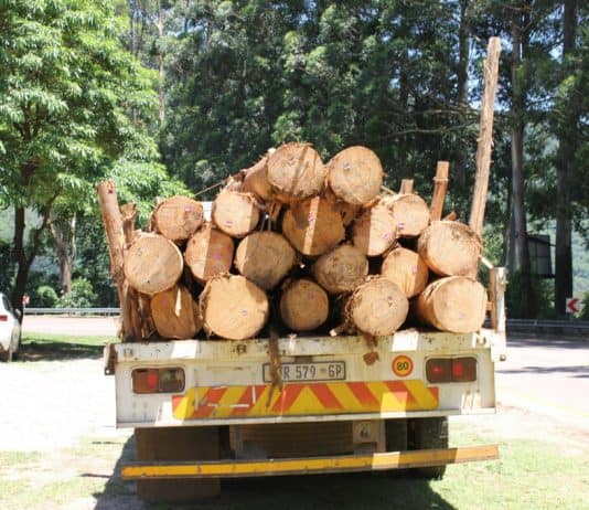 Kreševo: Prikolica puna drva pala na radnike, dvojica se bore za život