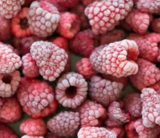 U uvoznom smrznutom voću koje je stiglo u Bosnu i Hercegovinu pronađen je virus hepatitisa A