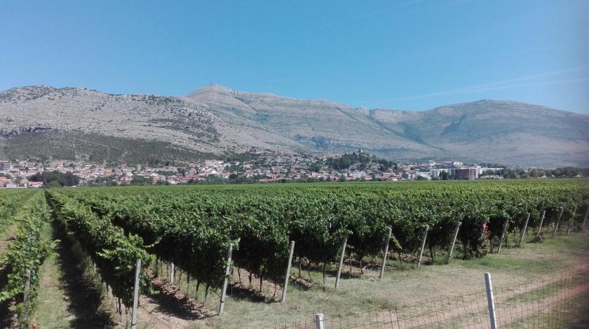 Odlične vijesti za hercegovačke vinare: Vinska cesta Hercegovine dobila nova priznanja u Španjolskoj, Grad Mostar najbolji vinski grad