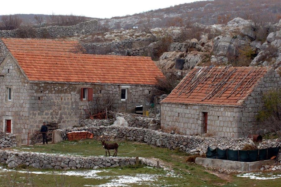 Strava u Dalmatinskoj zagori: ljudi su u strahu, nitko ne zna što se događa, opaka zvijer napada ovce i stoku