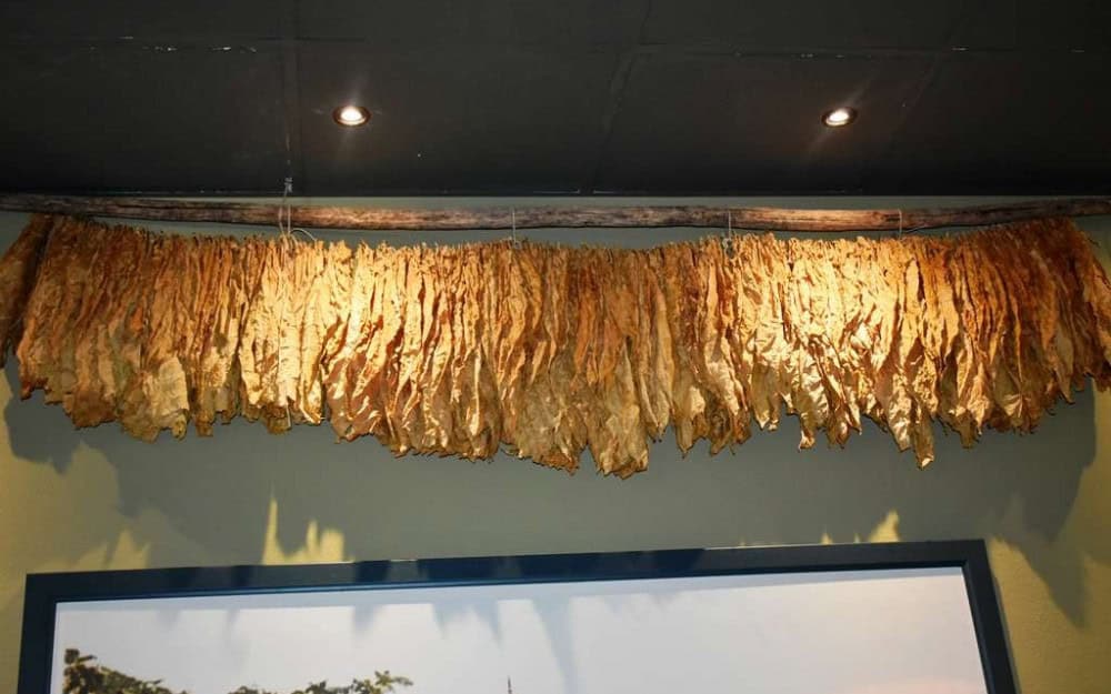 Schengen bi mogao potaknuti krijumčarenje ilegalnog duhana? “Od stotinu pušača u Hrvatskoj, njih 67 koristi ilegalni duhan, a glavni razlog su povoljnije cijene švercanog duhana”