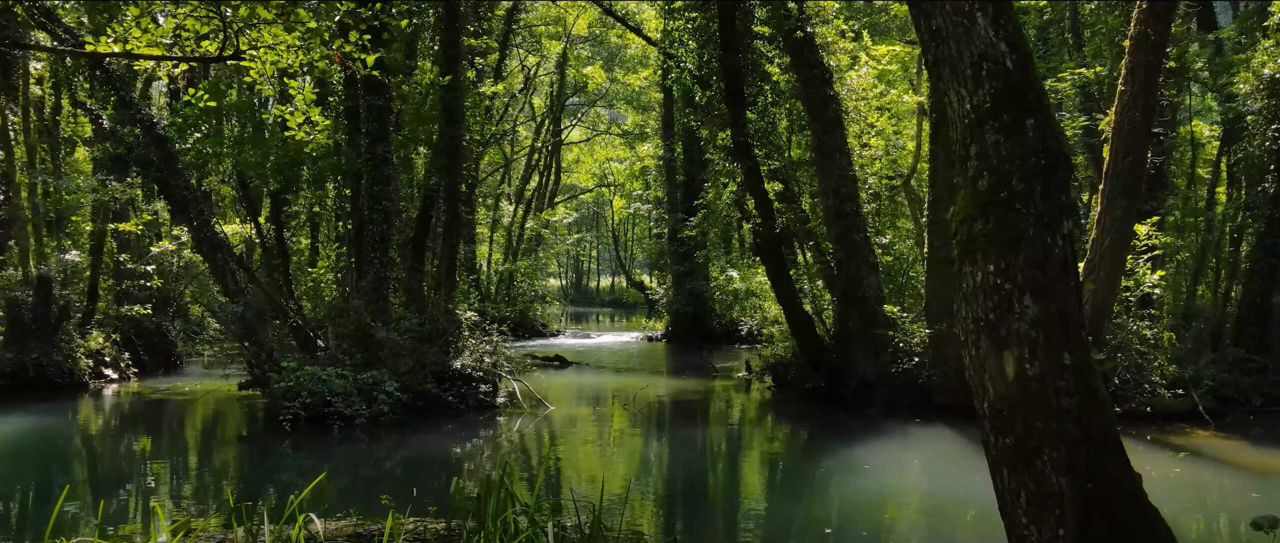 (VIDEO) Dacešin objavio novi video o BiH: Evo kako je sada prikazao našu zemlju