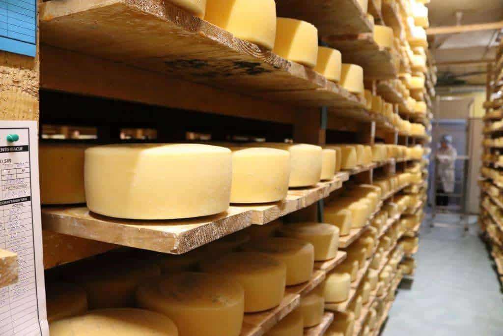 Livanjskom siru priznanje ‘Superior Taste Award’ u Bruxellesu