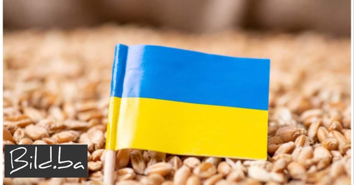 Poljska i Mađarska zabranile uvoz žitarica i hrane iz Ukrajine, ovo je razlog