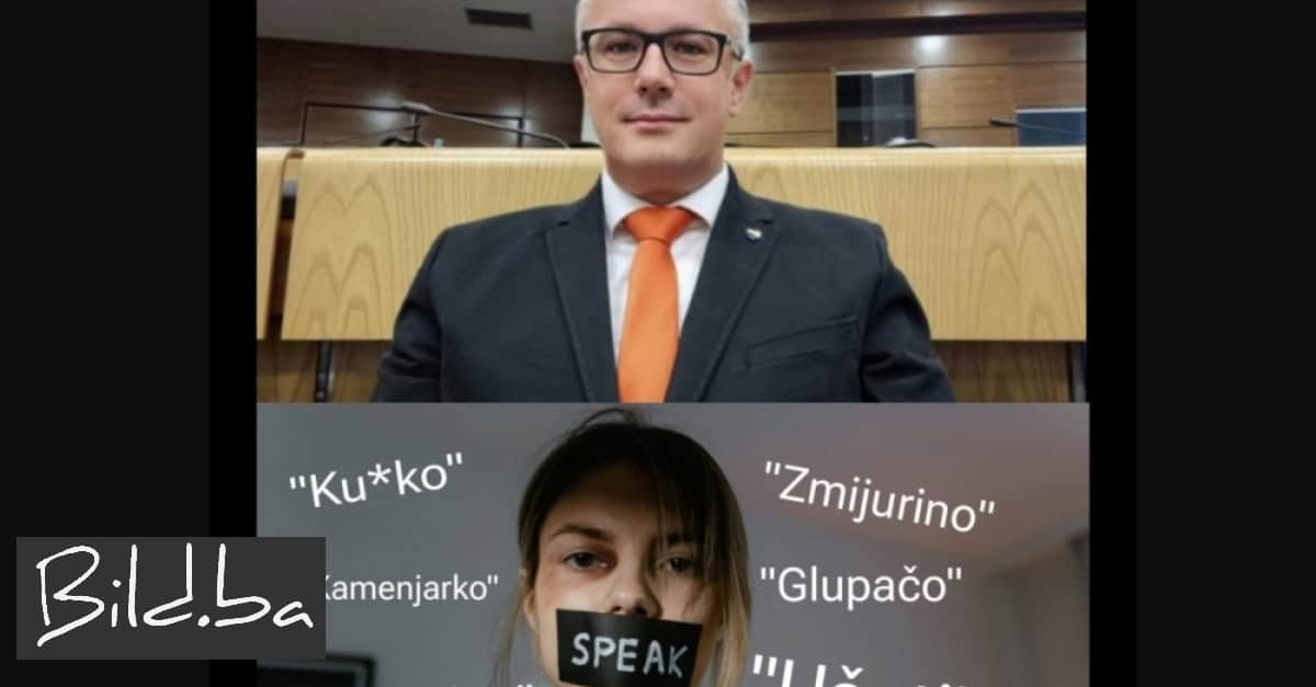 Sramotna objava zastupnika: Nasilje nad ženama na “parlamentarni” način