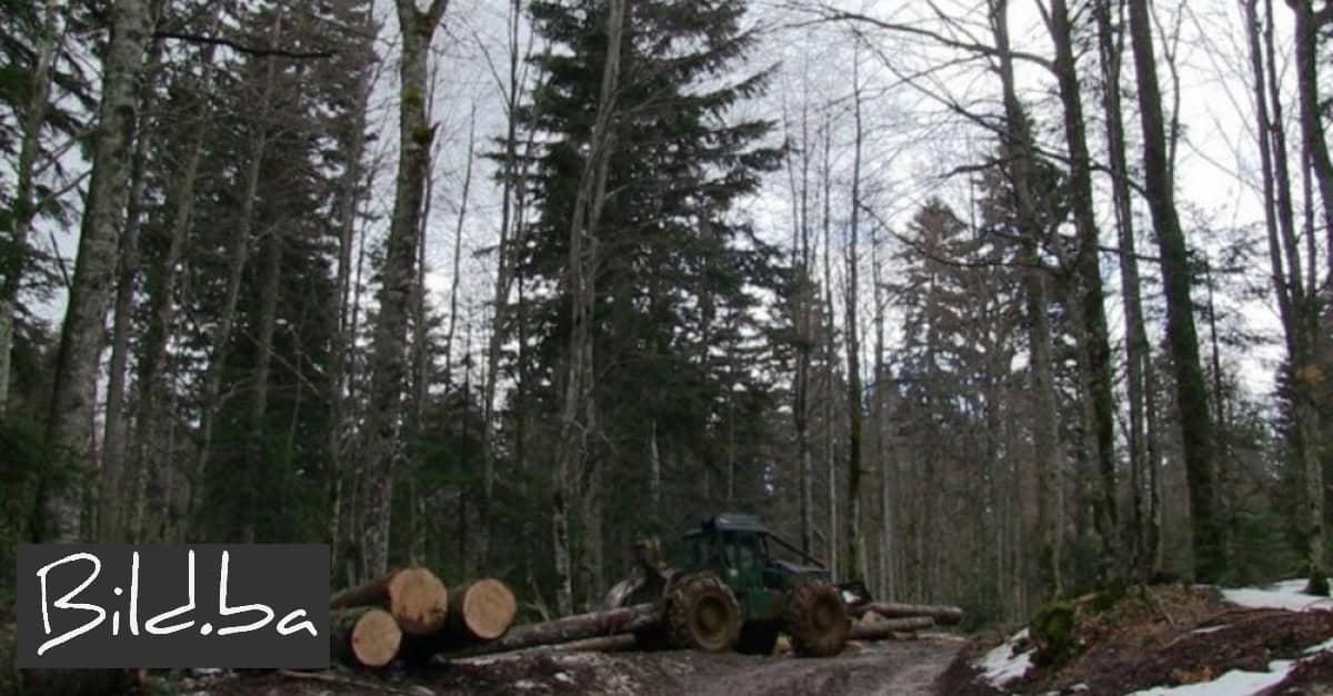 Koji ćaća! Direktor Hercegbosanskih šuma zaposlio 135 osoba bez natječaja, sad ga čeka optužnica