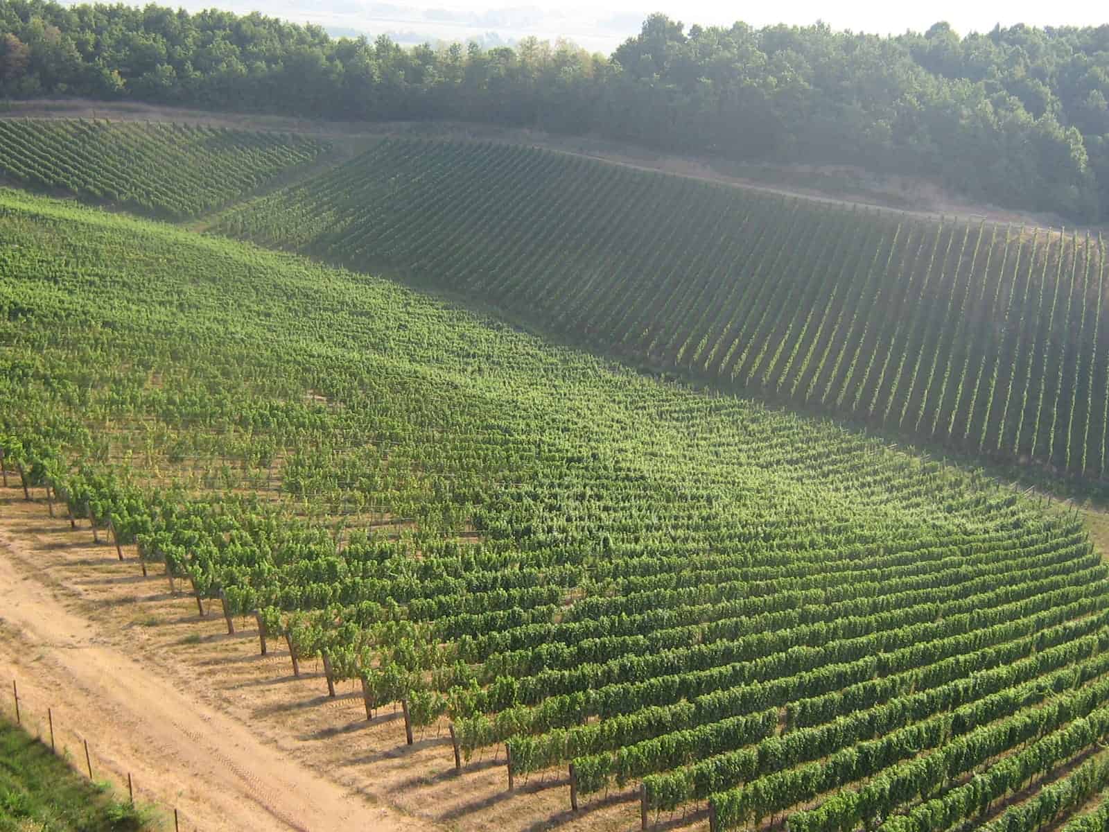 Portal Klik Jajce podržava: Banjolučka biskupija pokrenula projekt razvoja održive budućnosti