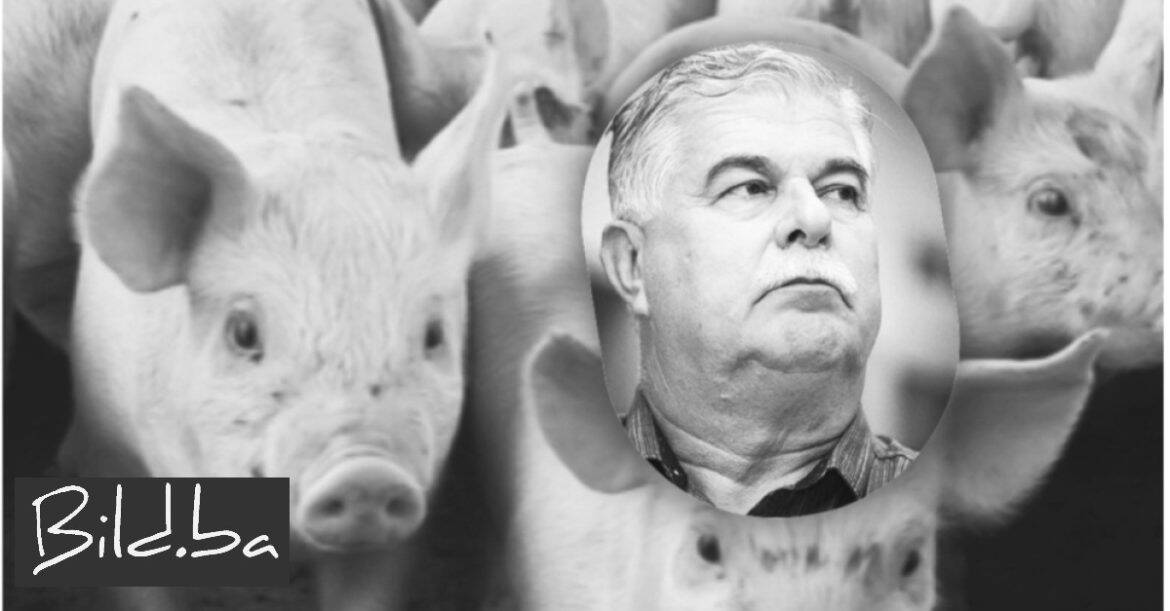 Otkriva Bild.ba: Dobio je poticaje za svinje iako ih uopće ne uzgaja. Miro Kraljević mu je prijatelj
