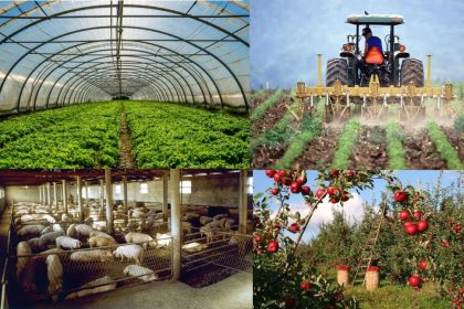 OBAVIJEST POLJOPRIVREDNICIMA: Obveza prijavljivanja promjena podataka u RPG i RK