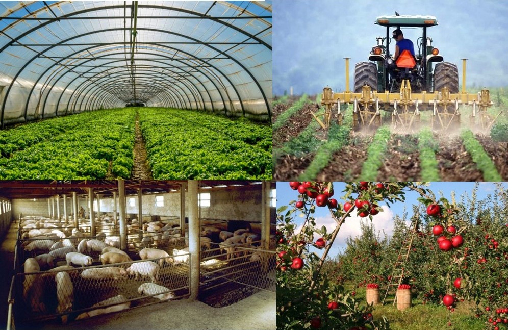 Obavijest poljoprivrednicima – Obvezna prijava plana proizvodnje za 2025. godinu