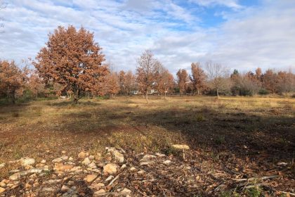 Općina Jajce: Obavijest vlasnicima poljoprivrednog zemljišta o obaveznoj prijavi zemljišta koje se ne obrađuje