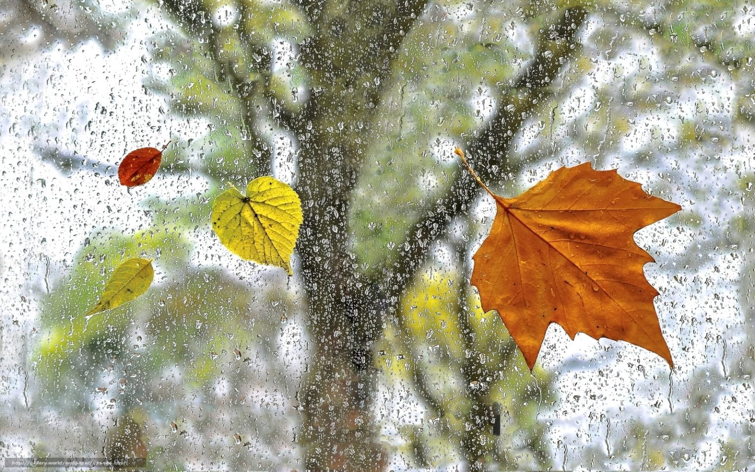 Ovo bi mogao biti najhladniji listopad u posljednjih 15 godina, od utorka ponovno pad temperatura