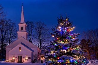 SRCA GORE – EVO ZORE: Mise zornice – i pet stvari koje o njima morate znati