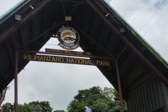 Jajačka avanturistica u pohodu na Kilimanjaro