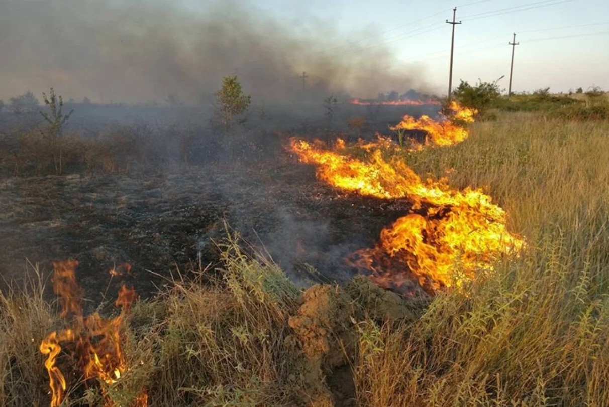 Znate li da za paljenje trave i korova možete ići u zatvor?