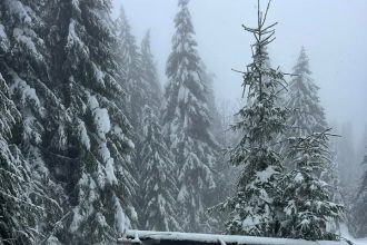 Prava drama: Kako je izgledao popravak strujne mreže prema Dobretićima (foto)