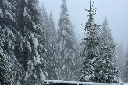 Prava drama: Kako je izgledao popravak strujne mreže prema Dobretićima (foto)