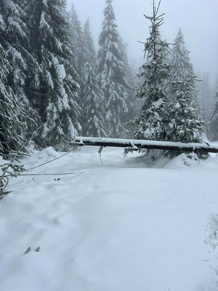 Prava drama: Kako je izgledao popravak strujne mreže prema Dobretićima (foto)