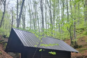 Ekološka udruga “Krševac” poziva: Uz Dan planeta Zemlje čišćenje okoliša i pokretanje obnovljene vodenice