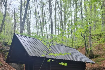 Ekološka udruga “Krševac” poziva: Uz Dan planeta Zemlje čišćenje okoliša i pokretanje obnovljene vodenice