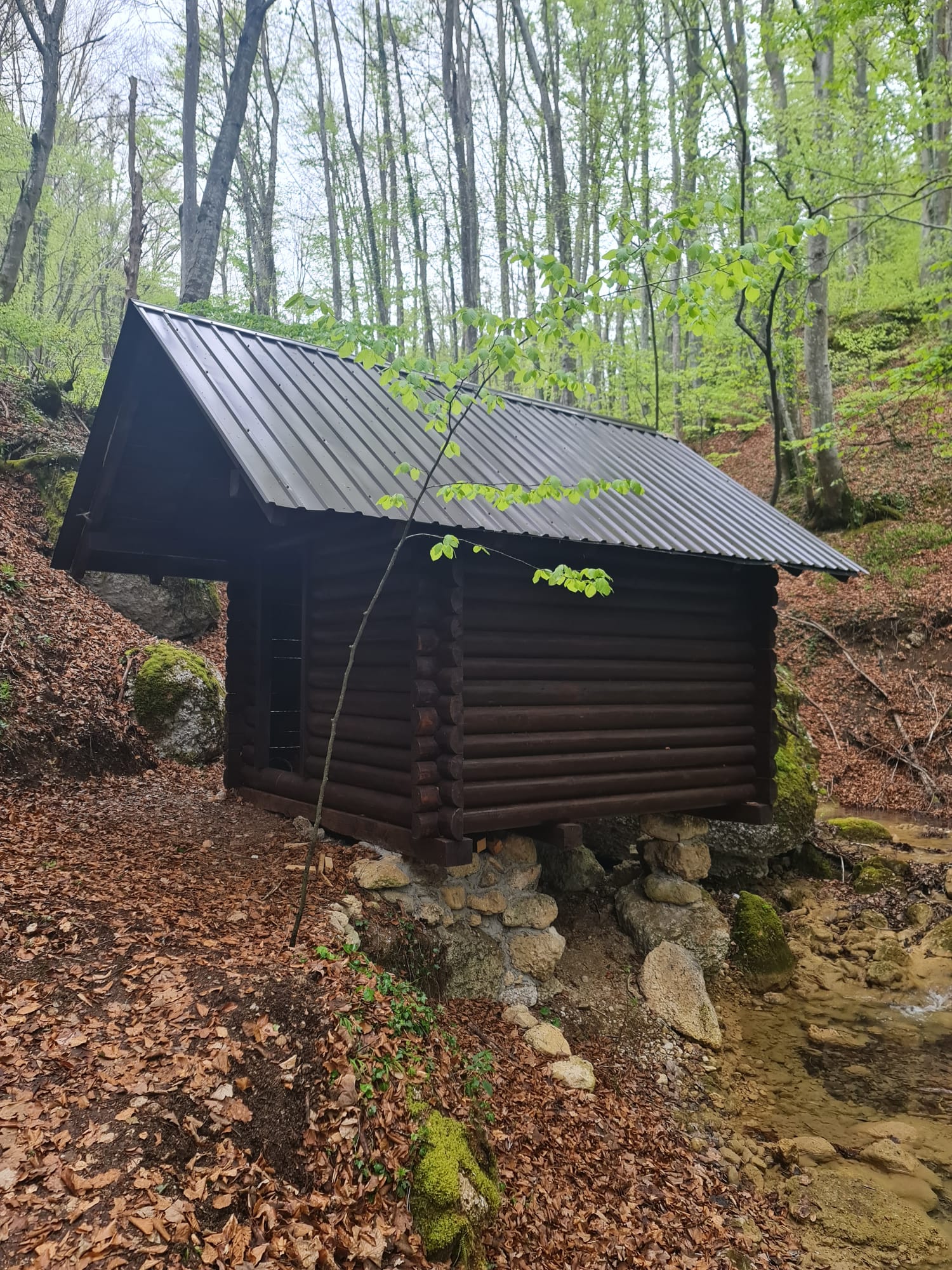Ekološka udruga “Krševac” poziva: Uz Dan planeta Zemlje čišćenje okoliša i pokretanje obnovljene vodenice
